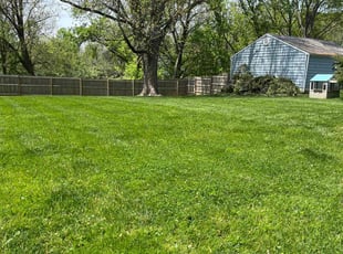Darryl R.'s Lawn Service service result