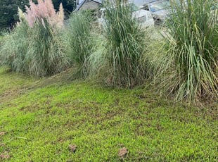 Bush Trimming by Daryl Howze for Anthony H. in Monroe, NC
