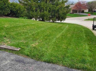 Susan K.'s Lawn Mowing service result