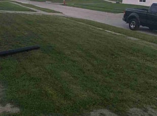 Norma G.'s Lawn Care service result