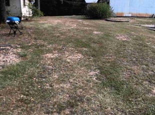 Bush Trimming by Gary Tolbert for Judy F. in Benton, AR