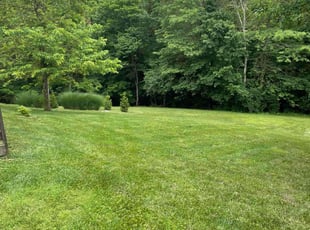 Kyla H.'s Lawn Mowing service result
