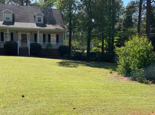 Laurel S.'s Lawn Service service result