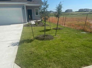 Lynn S.'s Grass Cutting service result