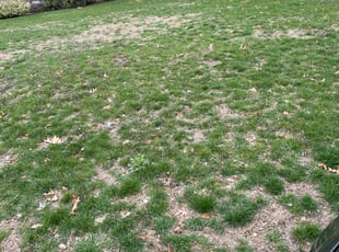 Landscaping by Terrance Robinson for Mishaal A. in Longmeadow, MA