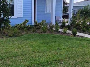 jim s.'s Lawn Maintenance service result