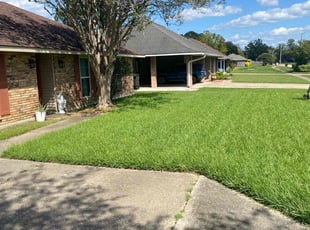 Rachelia R.'s Lawn Mowing service result