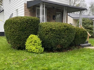 Bush Trimming by Isaac Adkins for Brea R. in Farrell, PA