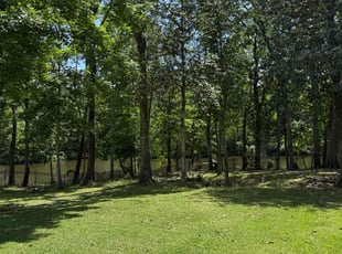 Tephanie J.'s Lawn Service service result
