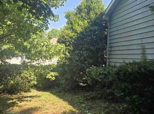 Tavares C.'s Bush Trimming service result