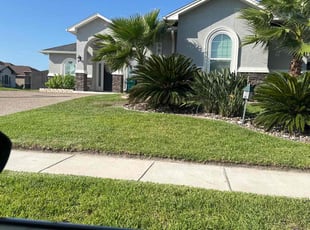 Nilza L.'s Lawn Maintenance service result