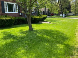 JEZELLE E.'s Lawn Care service result