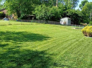 Olivia S.'s Grass Cutting service result
