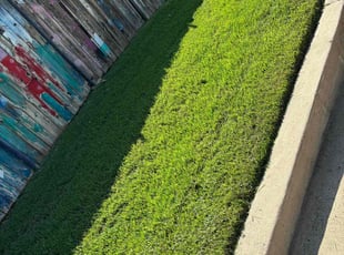 Man Ching H.'s Lawn Mowing service result