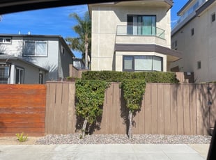 Bush Trimming by Nicholas Poulsen for Michael F. in San Diego, CA