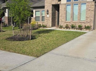 Kyle L.'s Lawn Mowing service result