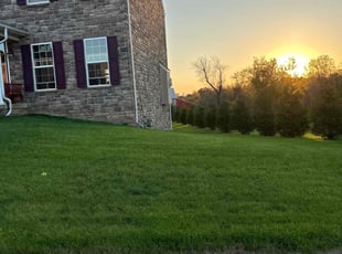 Joseph D.'s Lawn Mowing service result