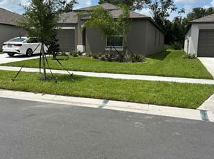 Susan C.'s Lawn Mowing Service service result