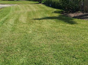 Sarah B.'s Lawn Maintenance service result
