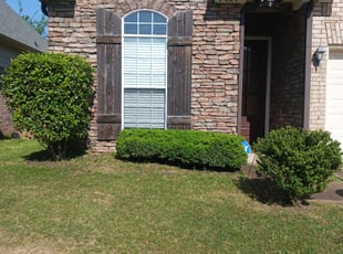 Bush Trimming by Ashley McCarty for Peggy M. in Cordova, TN