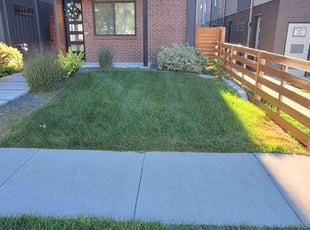 Leonard K.'s Lawn Mowing service result