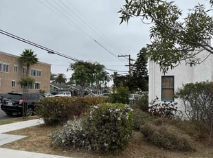 Bush Trimming by Nicholas Poulsen for David M. in San Diego, CA