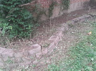 Weeding by Jeremy Clark for Robin K. in Goodlettsville, TN