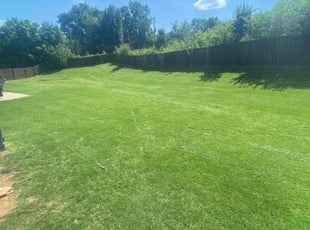 Jay S.'s Lawn Mowing Service service result