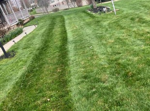 Ron Z.'s Lawn Maintenance service result