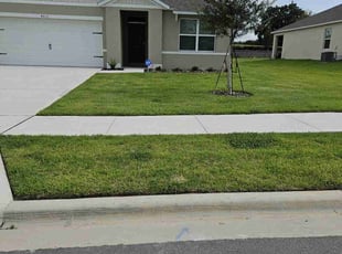 Alexis L.'s Lawn Mowing Service service result