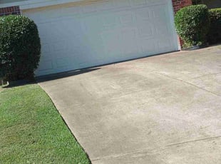 Bush Trimming by Gregory Thomas for Michael D. in Southaven, MS