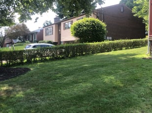 Bush Trimming by Dorrell Colbert for Ivory G. in Pittsburgh, PA