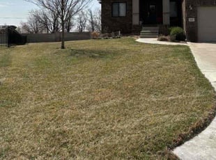 Christine W.'s Lawn Mowing service result