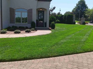 Natacia M.'s Lawn Service service result