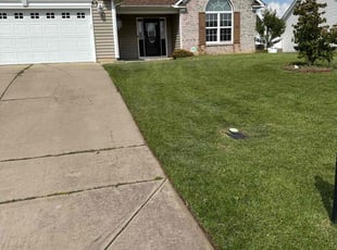 nancy t.'s Lawn Service service result