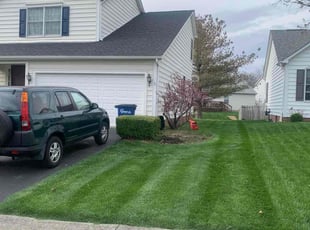Mary M.'s Lawn Mowing Service service result