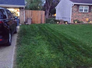 Bently B.'s Lawn Mowing service result
