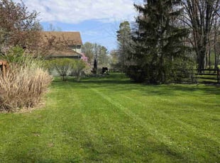 Matilda O.'s Lawn Mowing service result