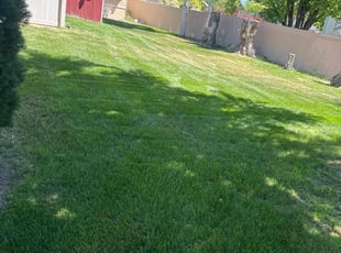 Terry W.'s Lawn Care service result