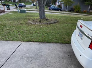 Cleanups by Ted Ostavitz for Andrew L. in Cincinnati, OH