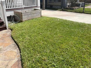 Latoya W.'s Lawn Service service result