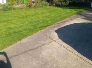 Anita M.'s Lawn Maintenance service result