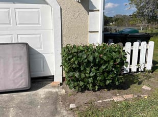 Jane K.'s Bush Trimming service result
