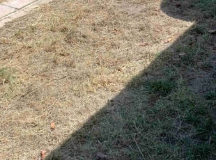 Landscaping by Damian Cornelious sr for Pazzy J. in Los Angeles, CA