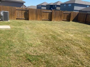 David W.'s Lawn Care service result
