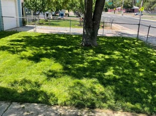 Stephanie R.'s Lawn Maintenance service result