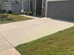 Angela K.'s Lawn Mowing service result