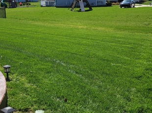 Adenike A.'s Lawn Service service result