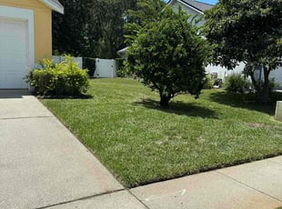 Lief E.'s Lawn Maintenance service result