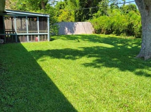 Antis G.'s Lawn Care service result